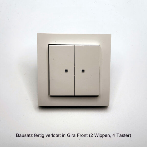 Taster 2-fach/4-fach für Gira - Image 6